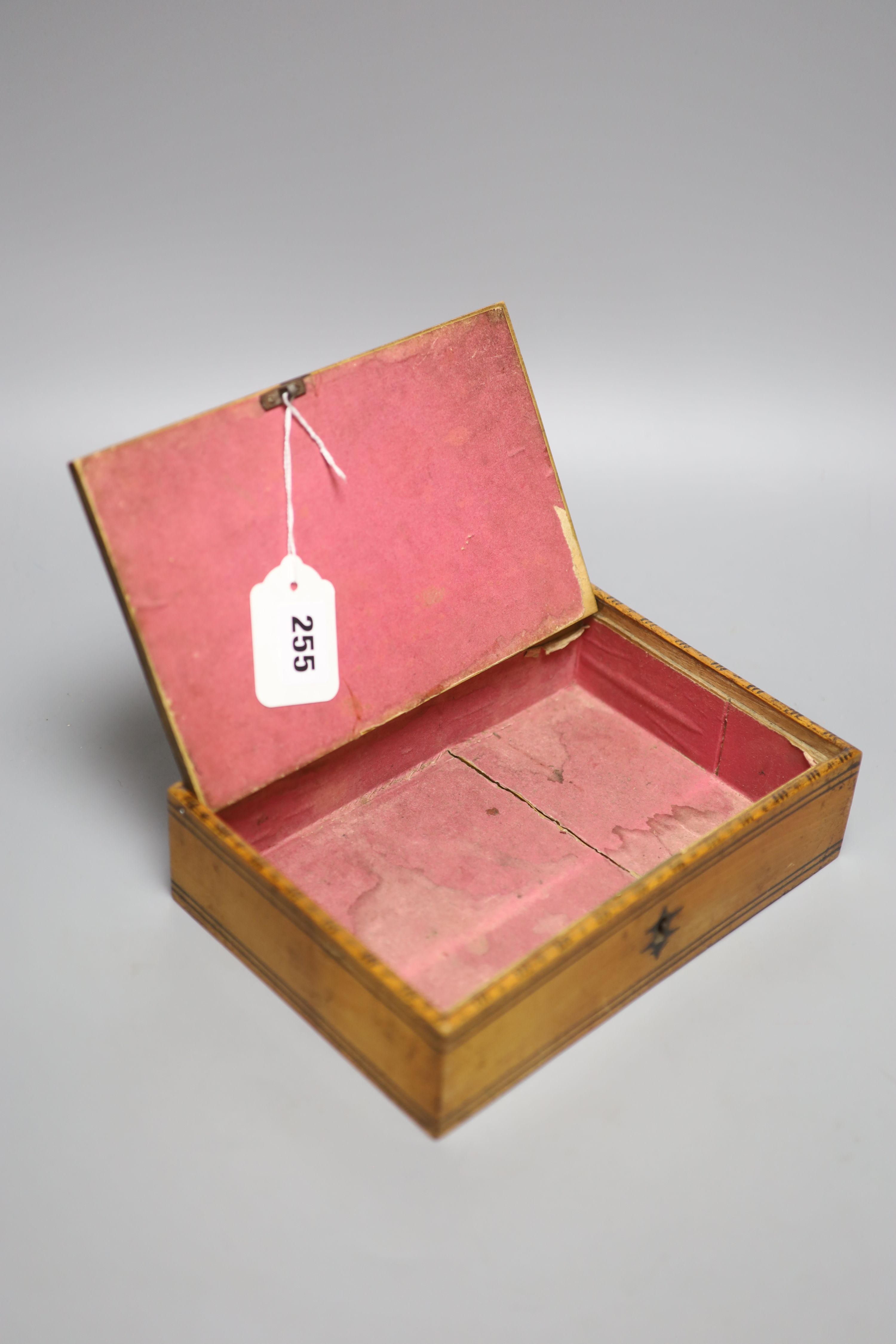 An early Tunbridge ware 'West Front of the Pavilion Brighton' sycamore box, probably Wise, c.1820, 22cm